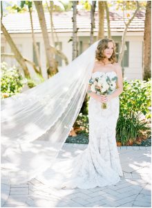 Bride dress with the veil